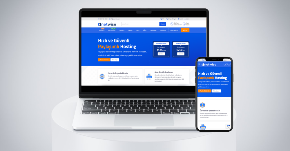 Netwise - Wisecp Tema